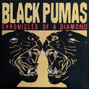 Black Pumas - Chronicles Of A Diamond
