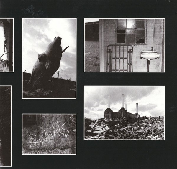 Animals - Pink Floyd - Imagem 4